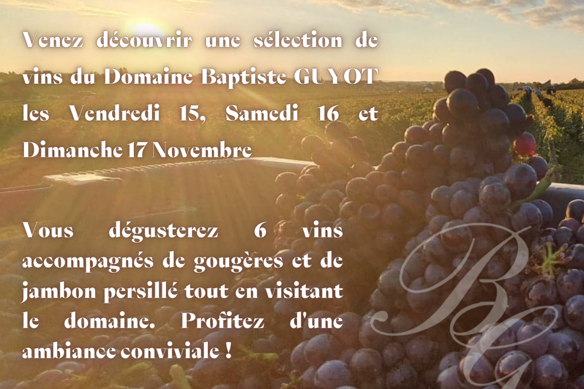 Vente Des Vins